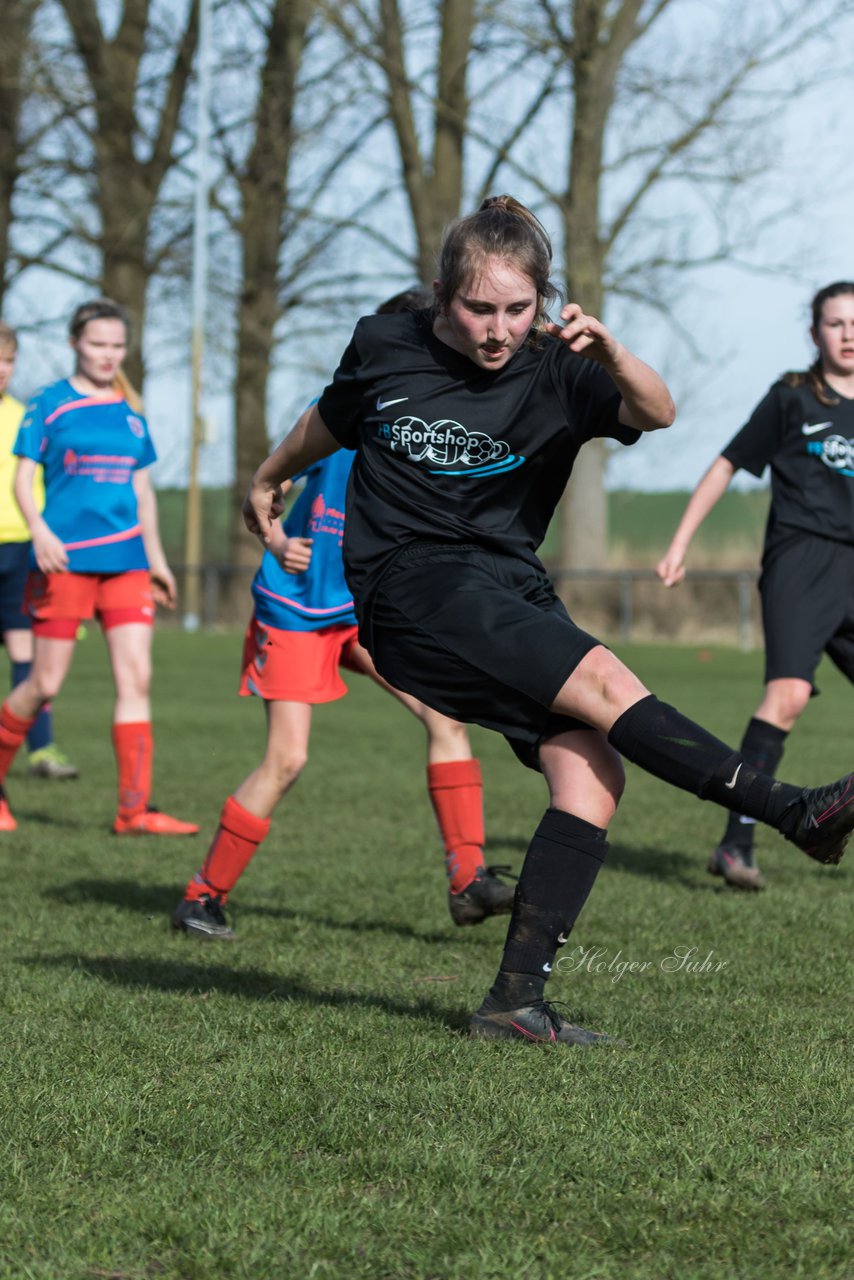 Bild 229 - C-Juniorinnen SV Steinhorst/Labenz - TSV Friedrichsberg-Busdorf : Ergebnis: 5:0